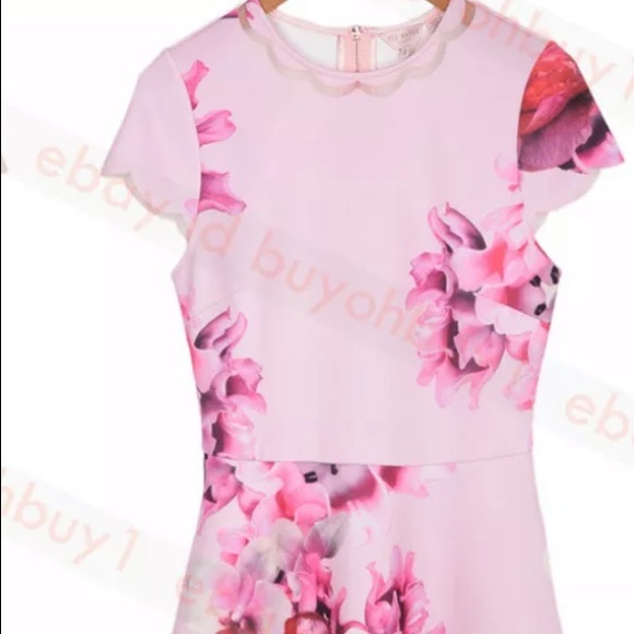 seeana splendour skater dress